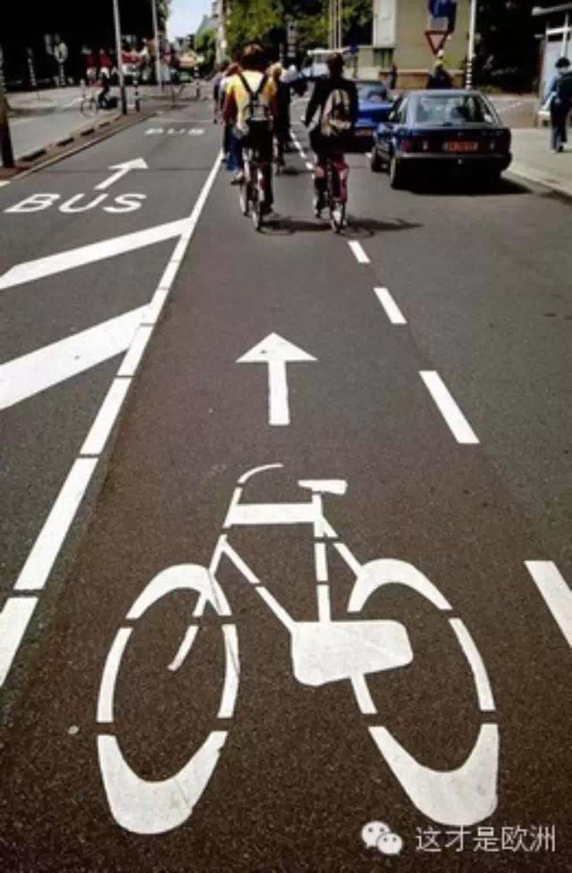 我在荷兰遭遇的“自行车罚单”
